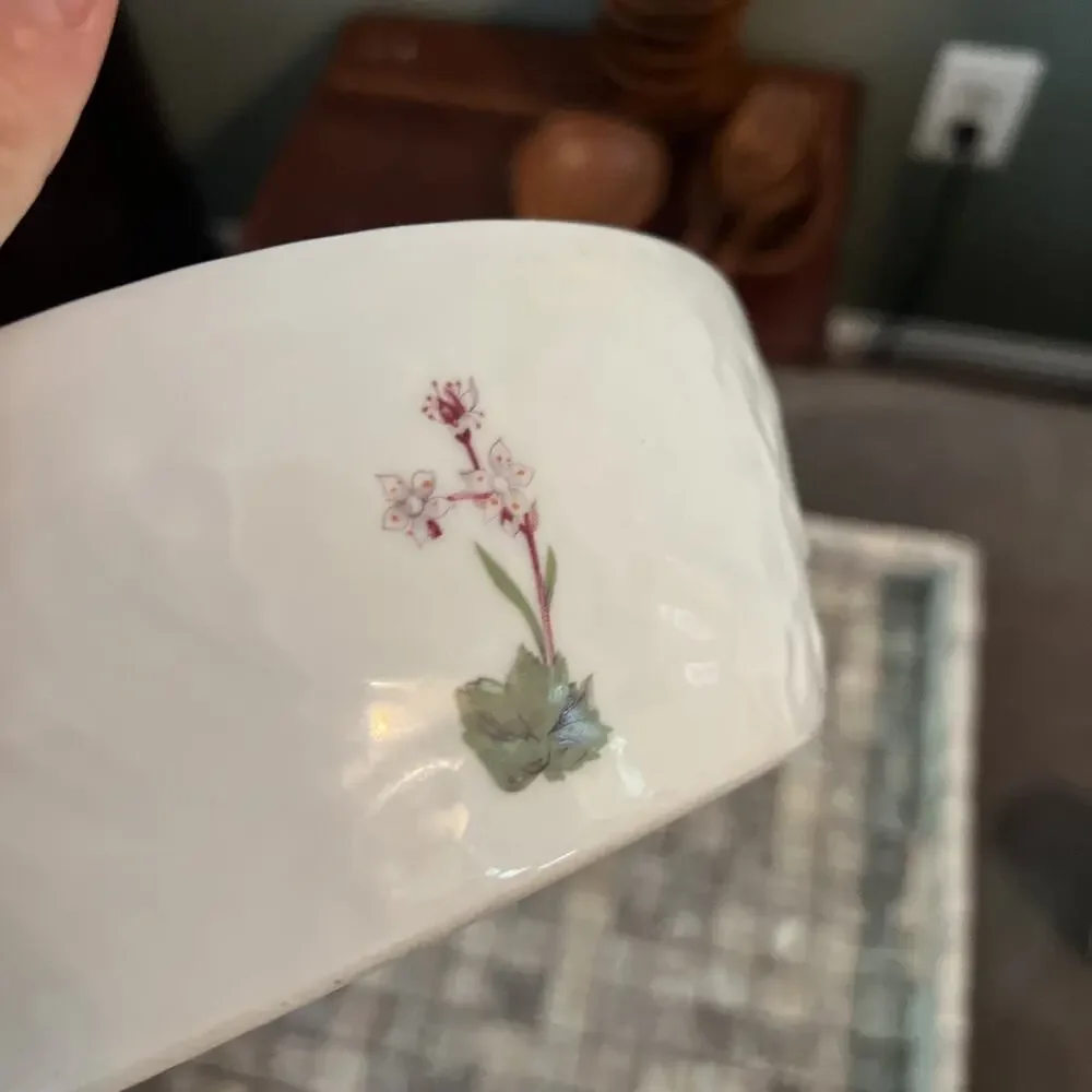 Louis Lourioux France Le Faune Wildflower Porcelain Baking Dish Ramekin Lot 10